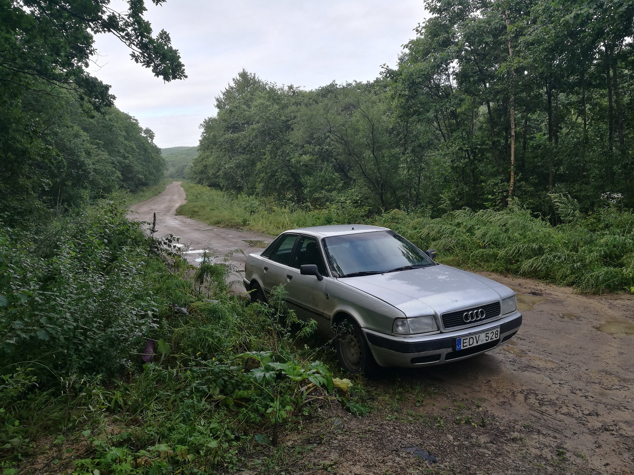 Audi 80 forest road